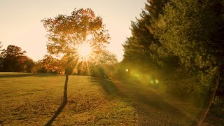 'An Autumn Evening' - NCHS Film Club - The Exquisite Corpse Project