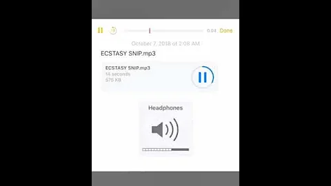 XXXTENTACION ECSTASY snippet