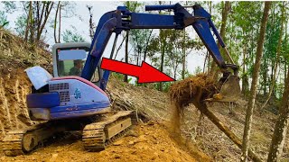 Close-up of a "Muscle" Excavator Opening a Logging Road on Sloping Land