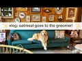 Vlog oatmeal goes to jess rona grooming in los angeles i run errands while he gets all glammed up