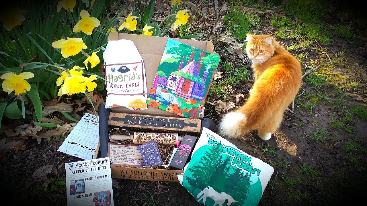 ACCIO BOX April 2022 🗝️ Keeper of the Keys🗝️ + 40% OFF COUPON ⚡ Harry Potter Unboxing⚡