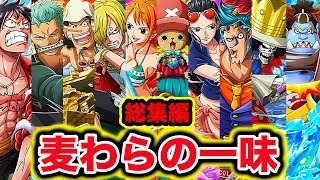 ワンピース 麦わらの一味10人目の仲間まで全員紹介 仲間になった順で麦わらの一味考察まとめ総集編 One Piece Youtube