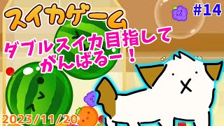 【#スイカゲーム】そろそろダブルスイカ作りたいなぁ▽・x・▽♪#14【ゲーム/実況】