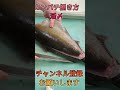 活〆カンパチ捌き方#short #shorts #new #fish #japan #howto #おすすめ #簡単 #料理 #釣り #楽しい #美味しい