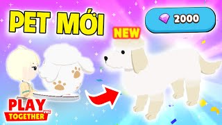 PLAY TOGETHER | BEDY NẠP GẦN 2000KC MỞ TRỨNG PET POODLE MỚI