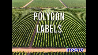 How to Create Polygon Labels