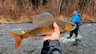видео: Тестирование Новых Многогранных Головок. Осенний Крупняк на Удочку картинка: Тестирование Новых Многогранных Головок. Осенний Крупняк на Удочку