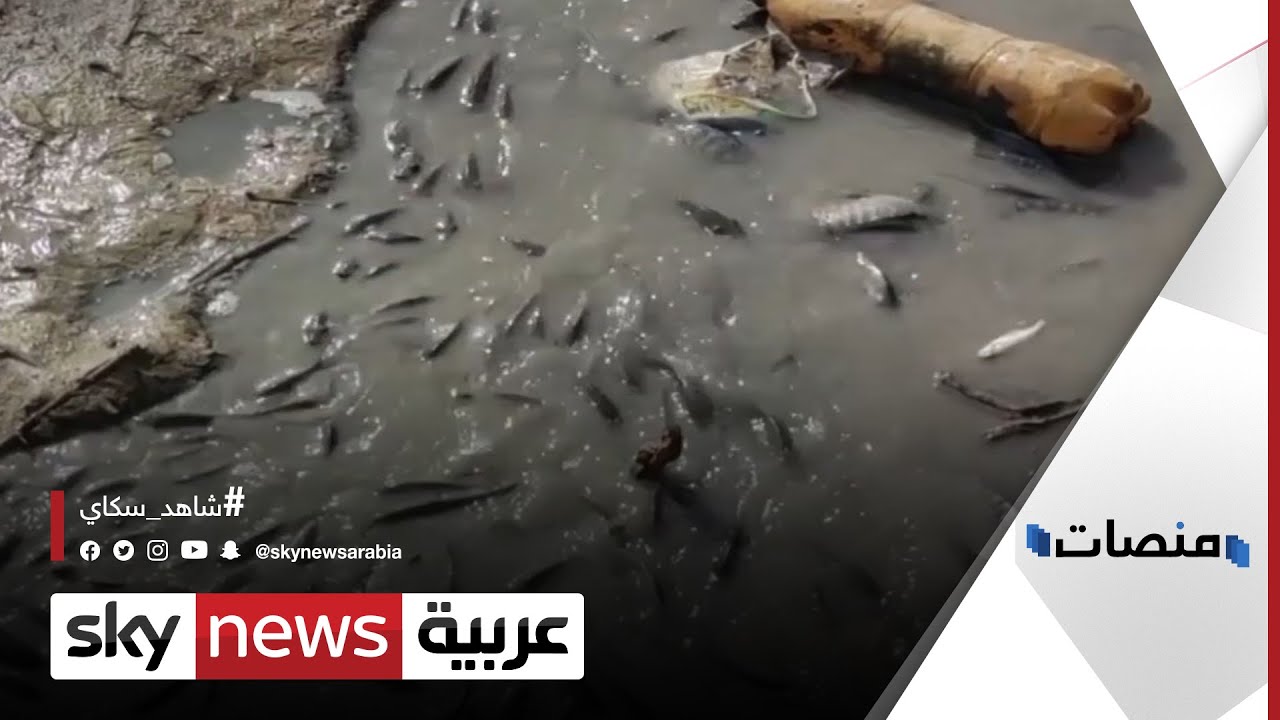 فيديوهات جفاف السدود تنتشر وتثير قلق الأردنيين | #منصات