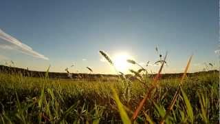 GoPro Protune Test & Comparison