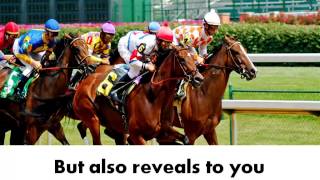 Horse racing calculator - The Most Accurate One