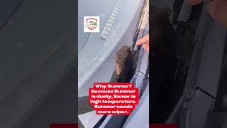 do you know what is the best time to change a wiper of Tata Tiago? #digitalautomobile