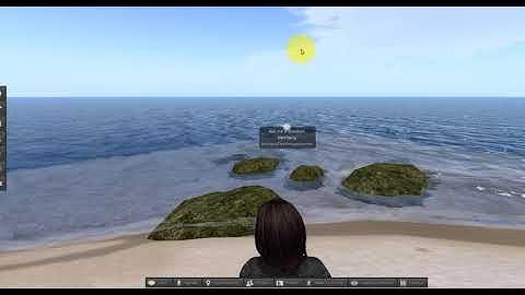 Introduction to Second Life Viewer