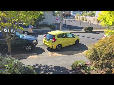 Park It Grandma !