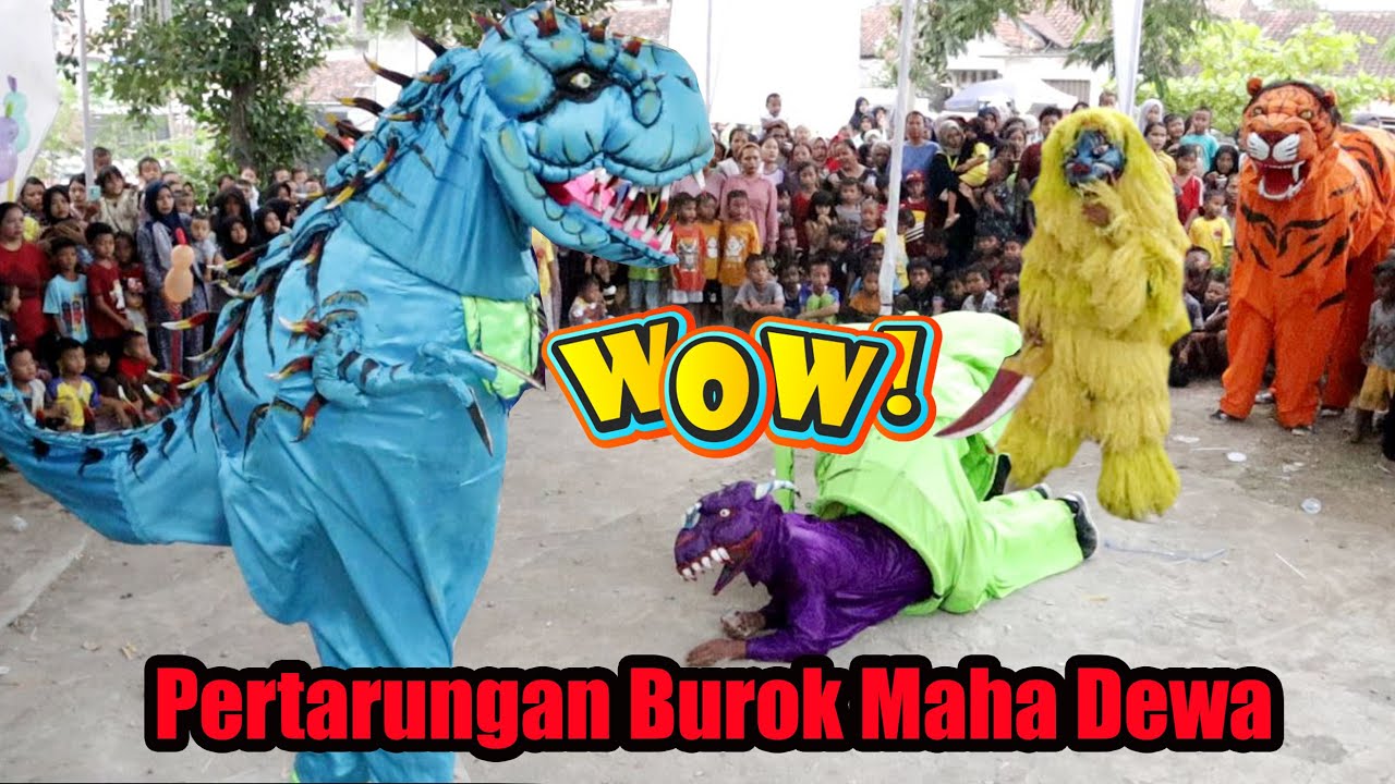 SERU !! TARUNG HEWAN BUROK MAHA DEWA - LIVE.DS.PAREREJA