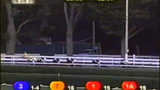 2009 Woodward Stakes RACHEL ALEXANDRA