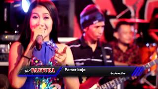 pamer bojo - norma silvia VX_NEW PANTURA TERBARU 2019