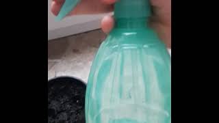 Jak Sadzić Pestki Cytryny