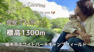 キャンプが楽しみ！なでしこ　CXチャレンジ優勝プロモ 河村怜奈プロ チャレンジマッチ | LOUNGE & BOWL B-lax | 大阪府