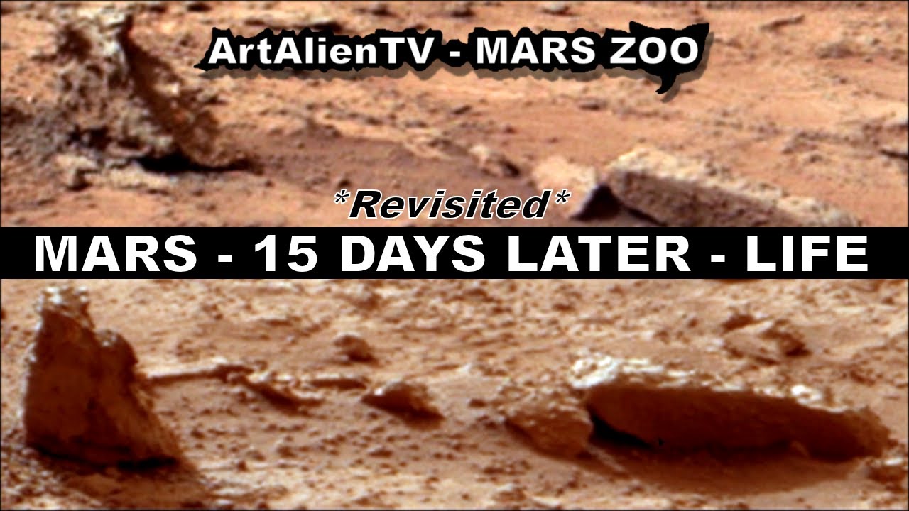rovera Mars 15 Days Later: REVISITED: Moving Mouse in Curiosity Rover Image? ArtAlienTV - 1080p