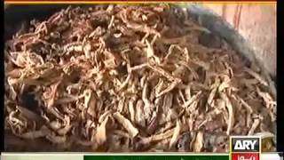 Achaar, Izledikten Sonra Bu U Yemeden Önce Iki Kez Düşünecek