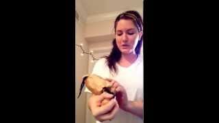 I finished my novel! (December 14th, 2014)