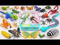 💛toy asmr💛 ZURU Robo Alive Remote Control Crawling Spider And Cockroach Toys ASMR ✨ No talking 🔇