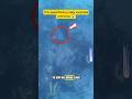 spearfishing many surprises come‼️😱#shortvideos #americafish