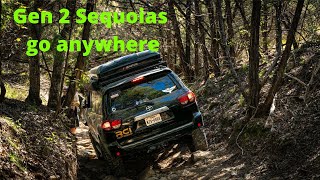 GEN 2 Sequoia keeps up with all of the Toyotas Fall series Ep.2