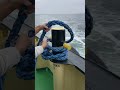 【船の留め方】ロープで船を係留する方法のご紹介です！#海上保安庁 #海猿 #潜水士 #船 #船乗り #船員