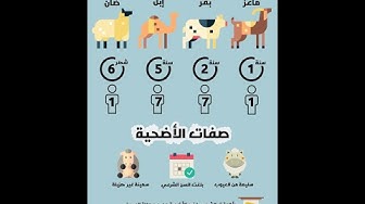 Prayers Connect Discover Iqamah Times Mosques