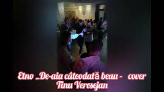 Mihai Mădălin- D-aia câteodată beau -Etno - cover- Tinu Veresejan