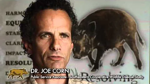 Part 1,  A Pickup Load of Pigs: The Feral Swine Pandemic - Natural History