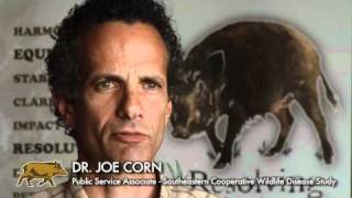 Part 1,  A Pickup Load of Pigs: The Feral Swine Pandemic - Natural History