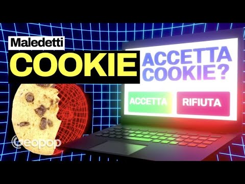 Video: Qual è il significato di chookie?