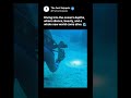 What Lives Under The Ocean Will Shock You 😱🌊 #shorts #satisfying #facts #ocean #underwater