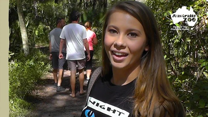 Irwin family on the look out for alligators | Irwi...