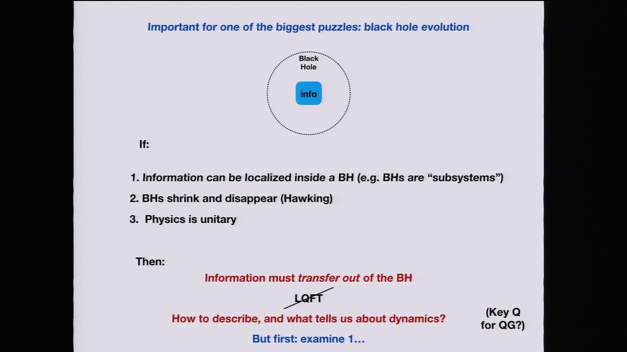 Steve Giddings - Quantum information in quantum gravity - YouTube