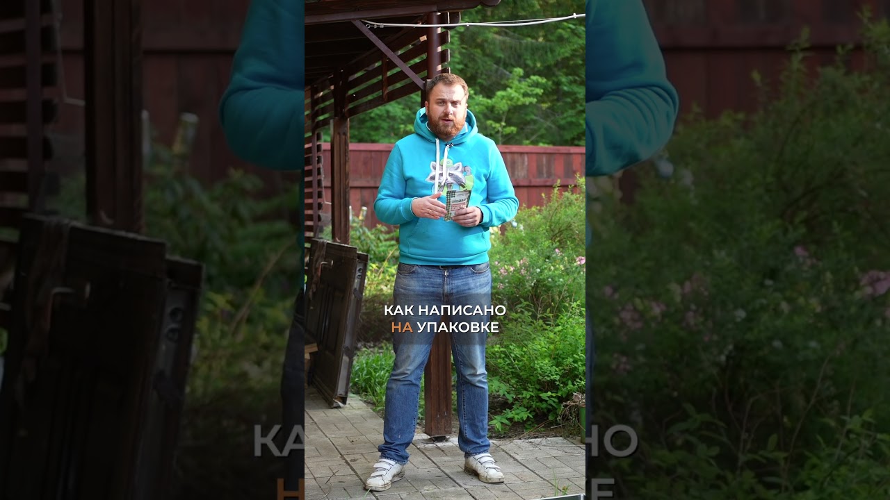 Как работают бактерии для септика? 