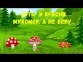 Егор и мухомор