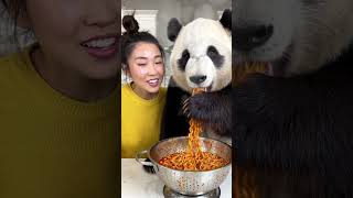 panda eating a spicy noodles #ai