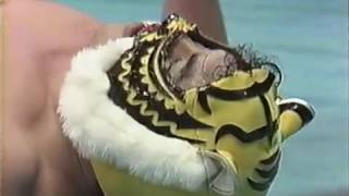 タイガーマスク 第2話 テレビアニメ動画サイトまとめブログ