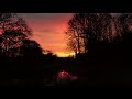 free , Trees, sunset, clouds, lake Hd 4k
