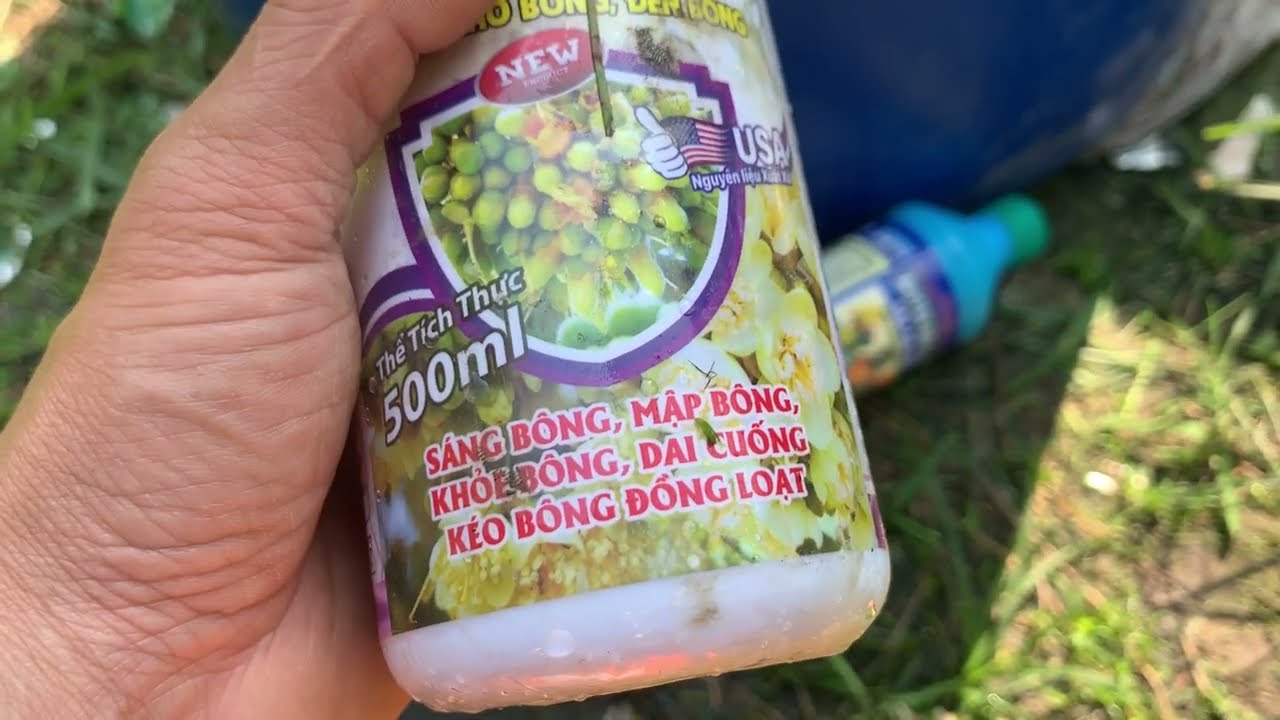 Xịt dưỡng bông 8/12/2026