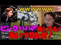 【ボドカ/切り抜き】ピンクババアの報告を釈迦に爆笑されるボドカ【釈迦/ハセシン】