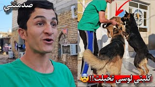 رد فعل لوسي بعد ماشافت الجرو الصغير - هروب روك - هدايا المتابعين !!صدمة😨