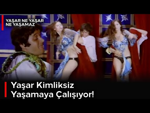 Yaşar Ne Yaşar Ne Yaşamaz | Yaşar, Kimliksiz Hayatta Tutunmaya Çalışıyor!