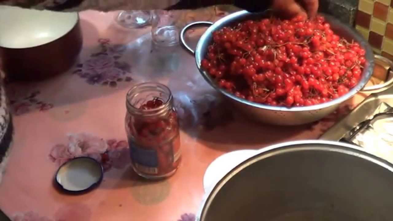 Лечение Сердца Калиной :. Как Самостоятельно Вылечить Сердце Без Докторов