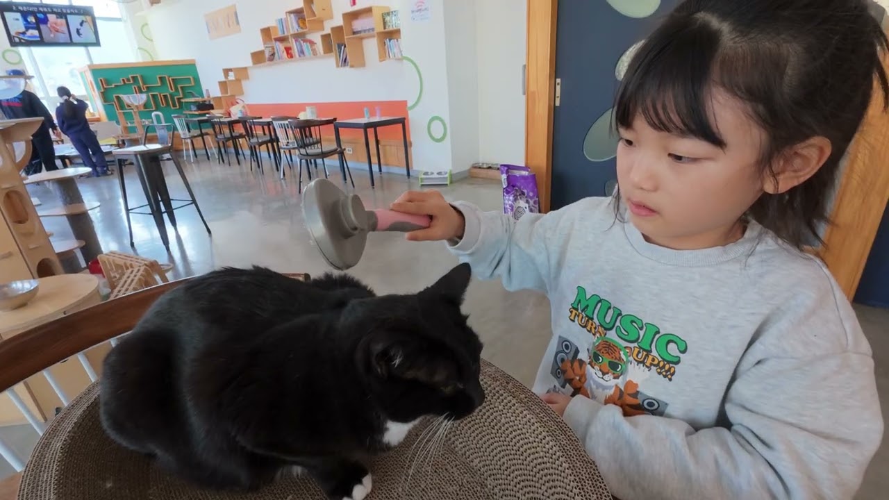 2026.01.01 - 어른이 되어버린 순대 (고양이카페)