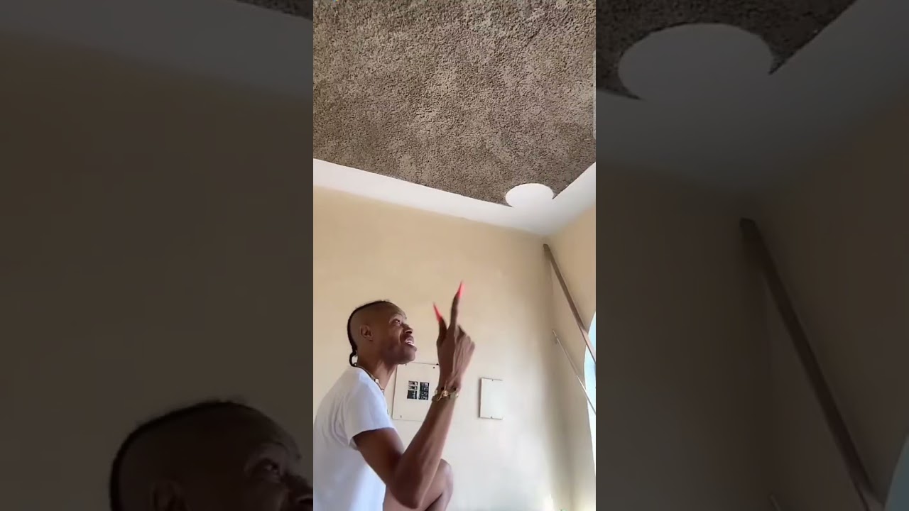 Шебада говорит следующее о Дайеме и Ивани