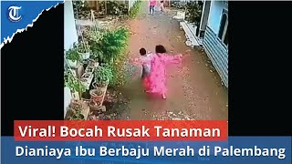 Viral! Kronologi Bocah Rusak Tanaman Dianiaya Ibu Berbaju Merah di Palembang